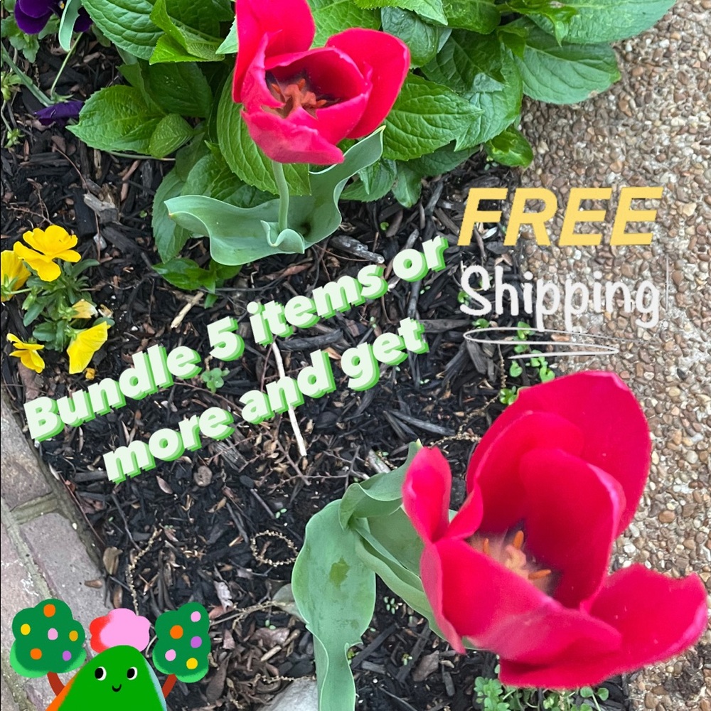 Free Shipping when you bundle 5 items or more
